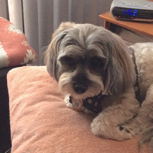 LOUIE SAYS LOOK THROUGH THE CLOSET.LOTS OF GOODIES. - Picture 3 of 3